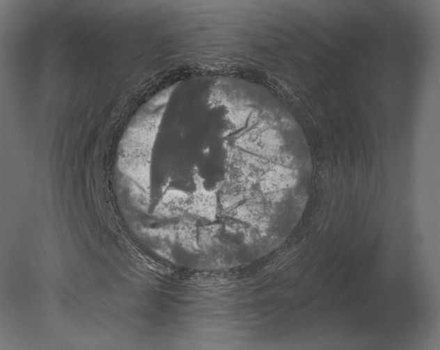 X0000080690817200701121722