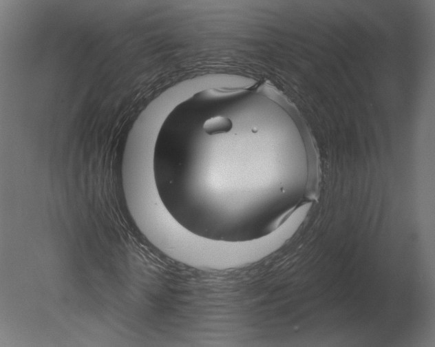 X0000080690818200701121722