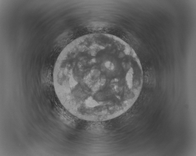 X0000080690820200701121722