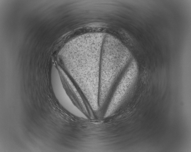 X0000080690821200701121722