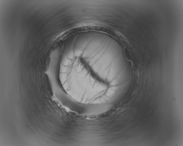 X0000080690822200701121722