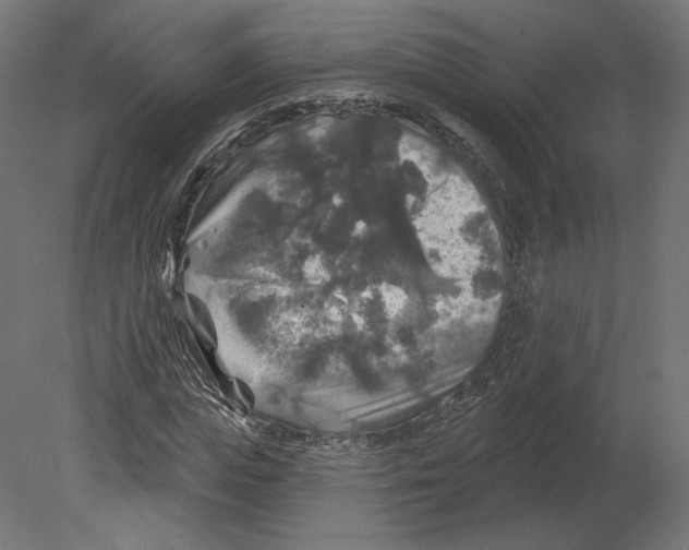 X0000080690823200701121722