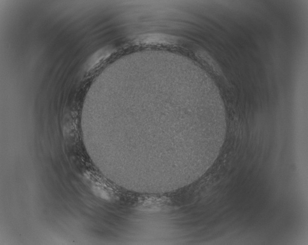 X0000080690824200701121723