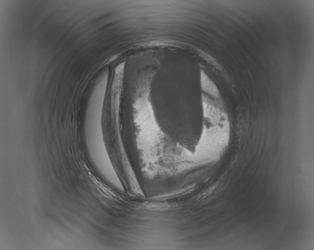 X0000080690825200701121723