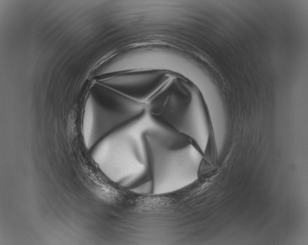 X0000080690826200701121723