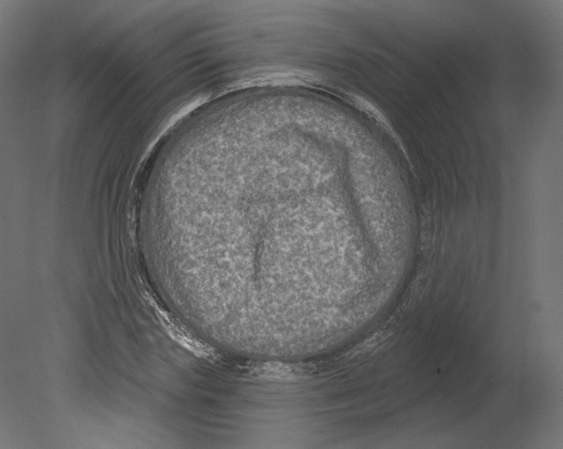 X0000080690827200701121723