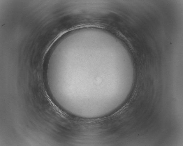 X0000080690828200701121723