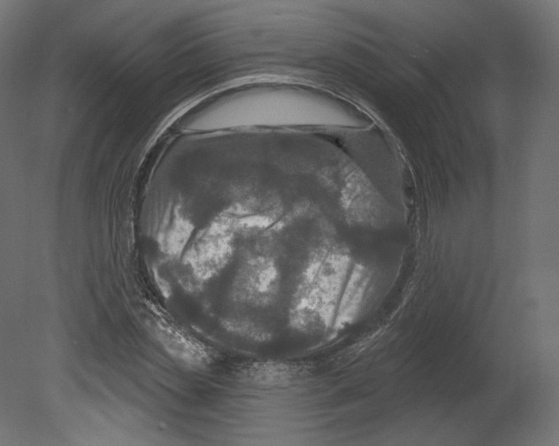 X0000080690829200701121723