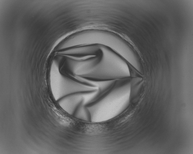 X0000080690830200701121723