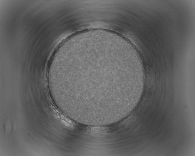 X0000080690832200701121723