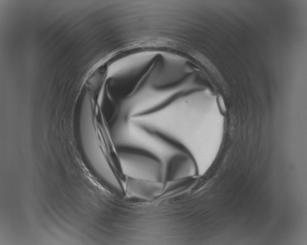 X0000080690834200701121723