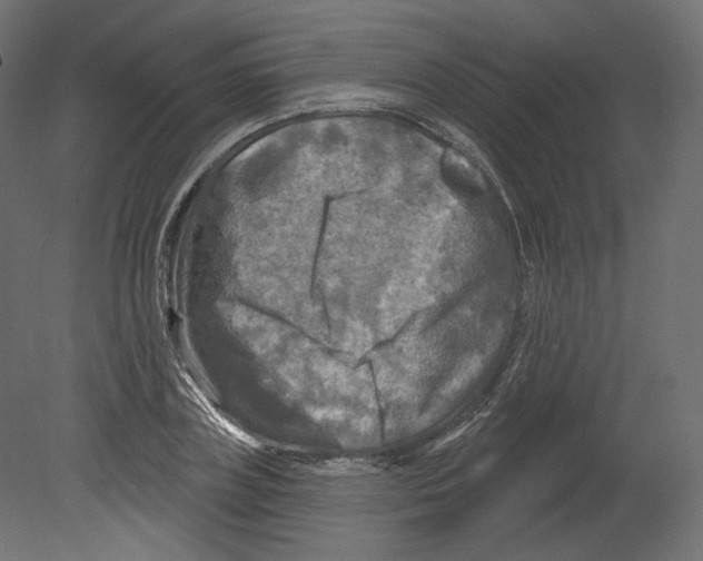 X0000080690835200701121723