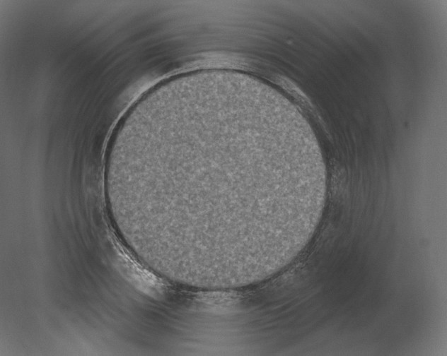 X0000080690836200701121723