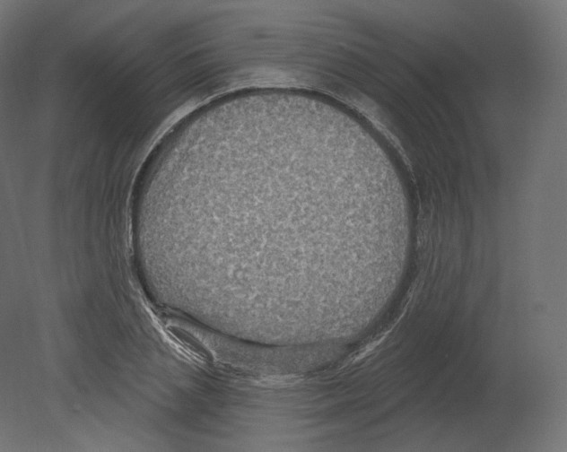 X0000080690837200701121723