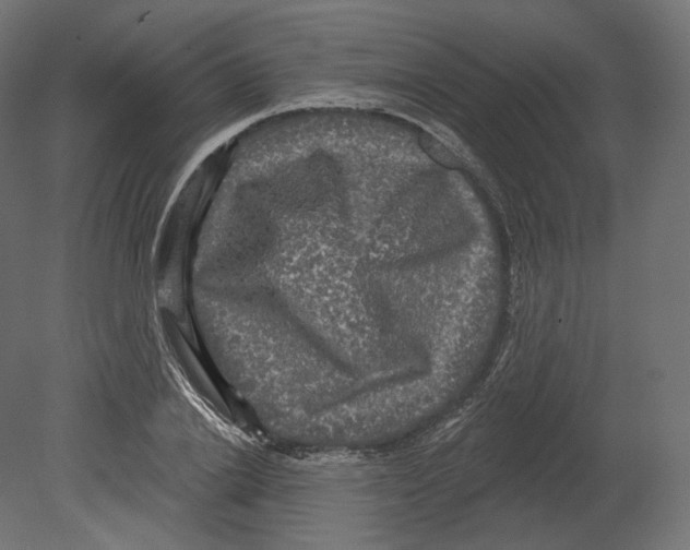 X0000080690838200701121723