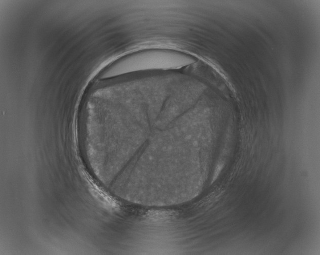 X0000080690840200701121723