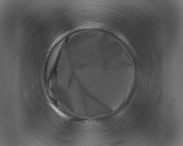 X0000080690842200701121723