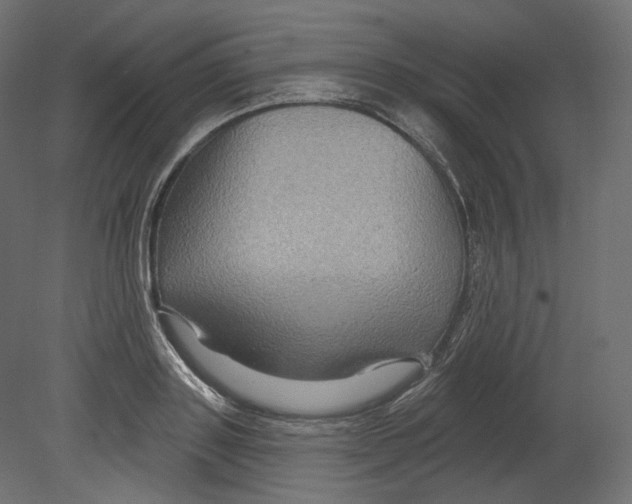 X0000080690843200701121723