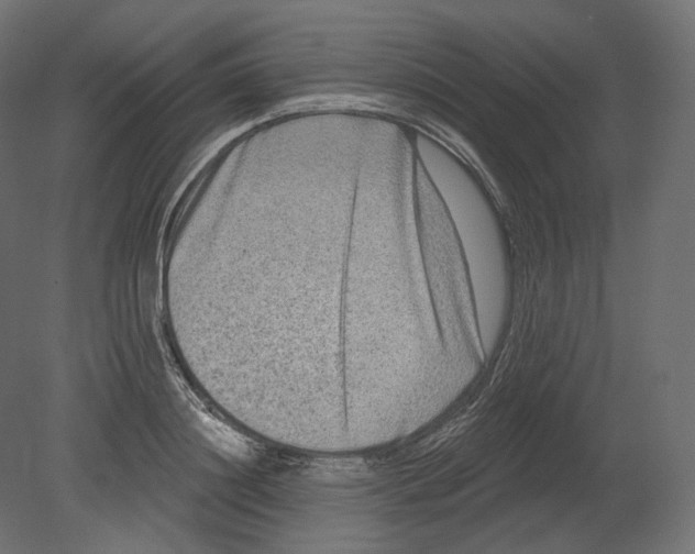 X0000080690844200701121723