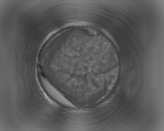 X0000080690845200701121723