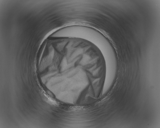 X0000080690846200701121723