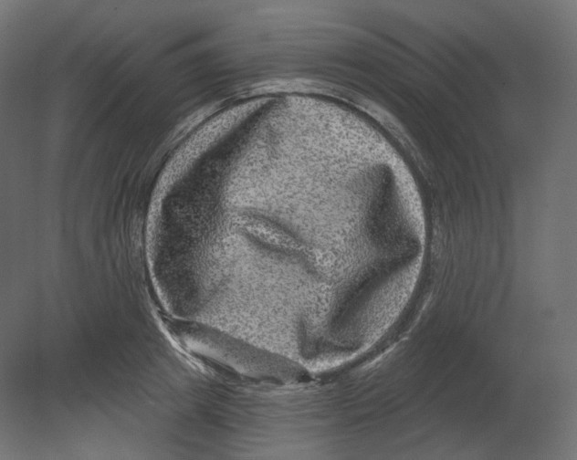 X0000080690849200701121723