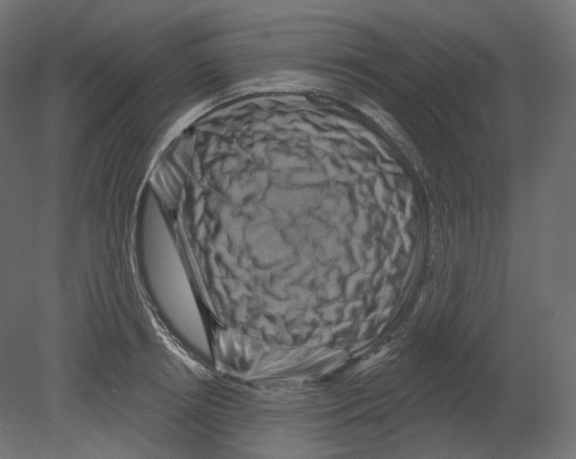 X0000080690850200701121723