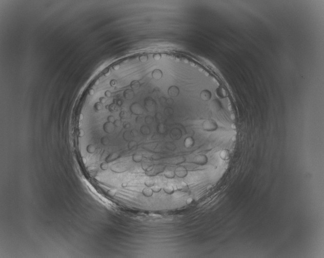 X0000080690851200701121723