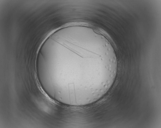 X0000080690852200701121723