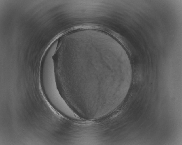 X0000080690853200701121723