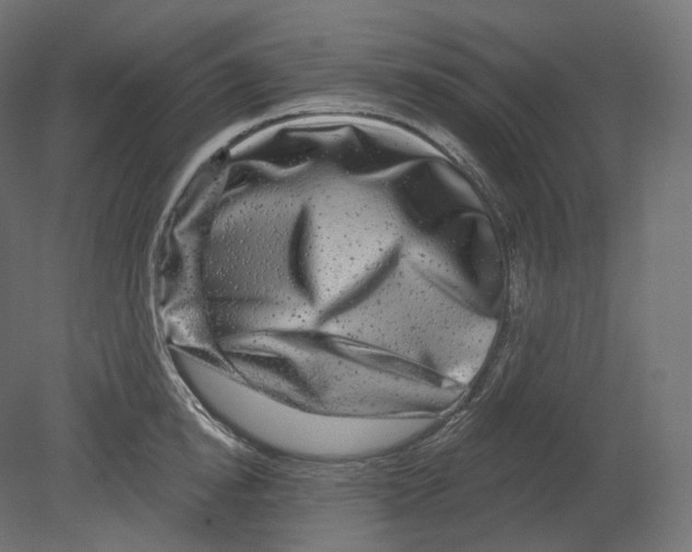 X0000080690854200701121723