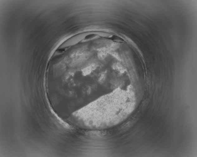 X0000080690855200701121723