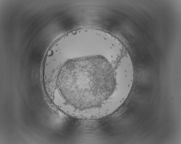 X0000080690856200701121723