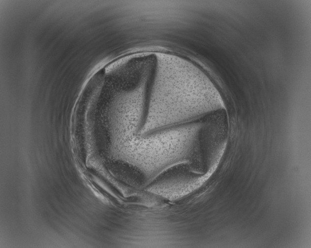 X0000080690858200701121723