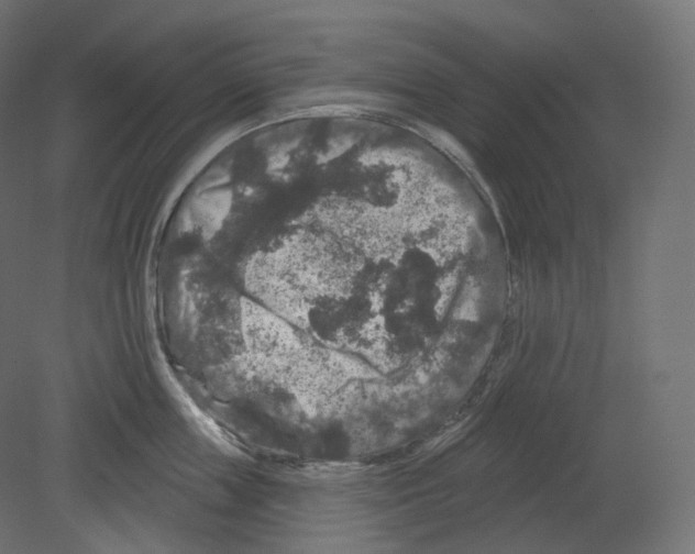 X0000080690859200701121723