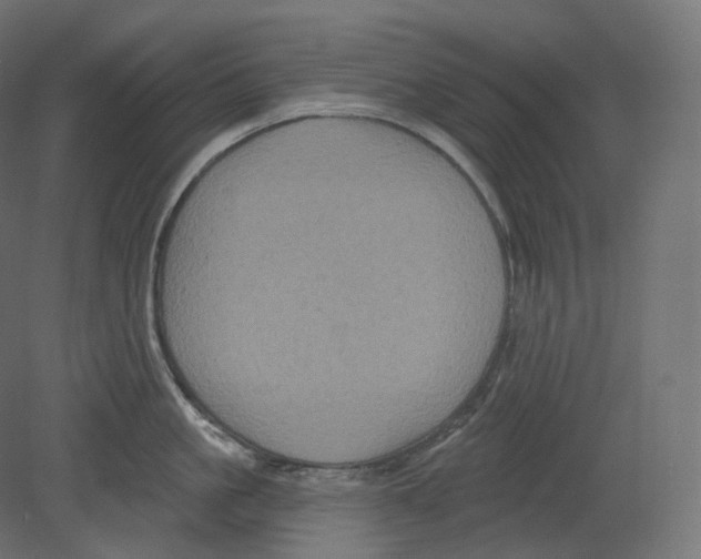 X0000080690861200701121723