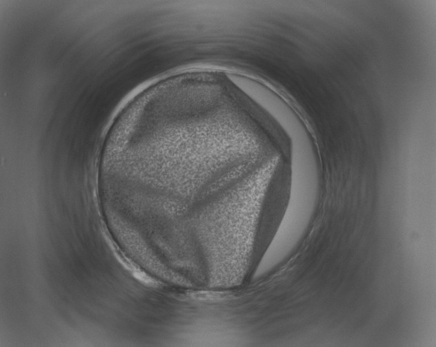 X0000080690862200701121723