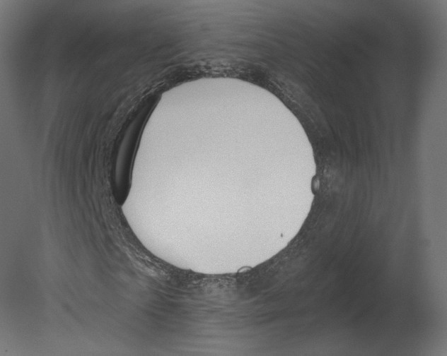 X0000080690865200701121722