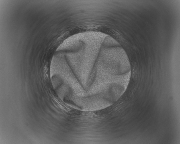 X0000080690866200701121722