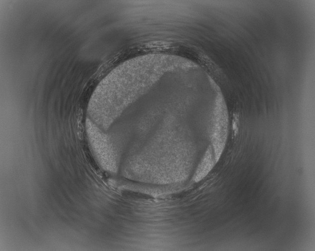 X0000080690867200701121722