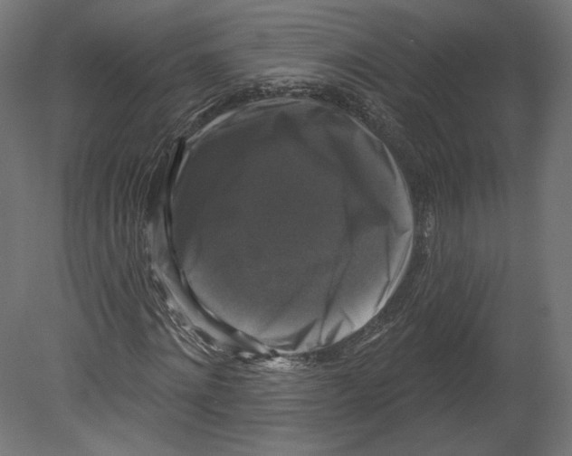 X0000080690868200701121722