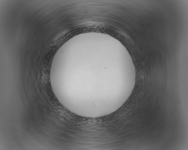 X0000080690869200701121722