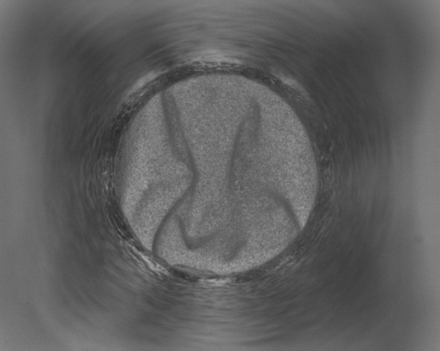 X0000080690870200701121722