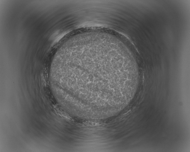 X0000080690871200701121722