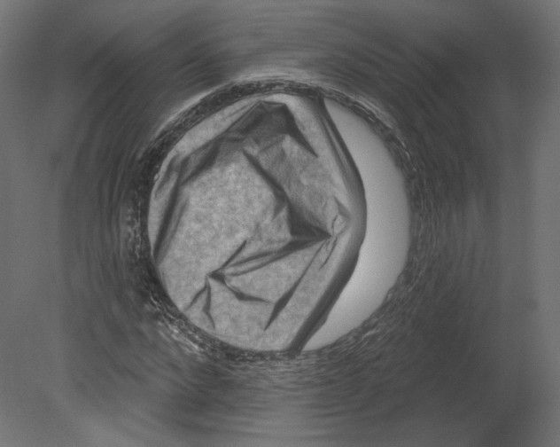 X0000080690872200701121722