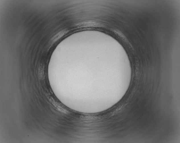 X0000080690873200701121722