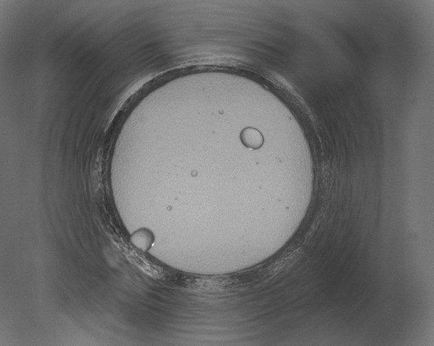 X0000080690875200701121722