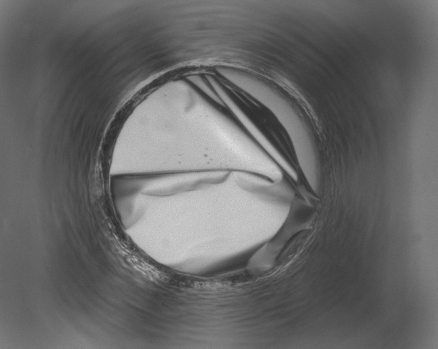 X0000080690876200701121722