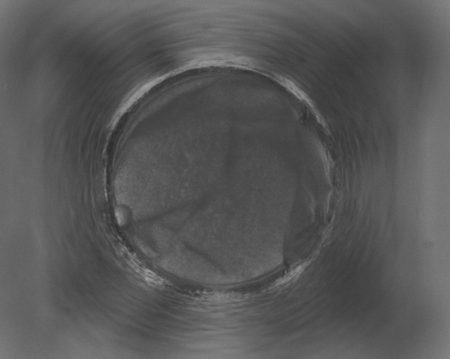 X0000080690877200701121722