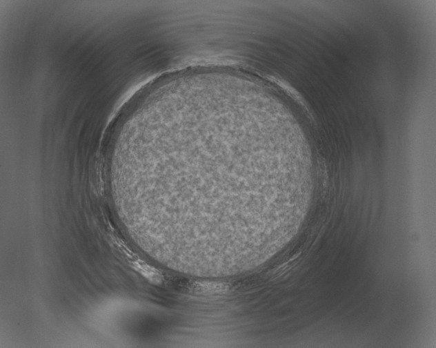 X0000080690878200701121722